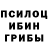 Галлюциногенные грибы Psilocybine cubensis Samuel Baium